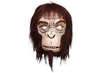 Máscara Borracha C/Cabelo 38017-F Macaco	
