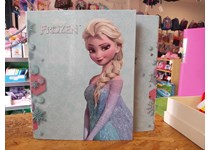 Dossier Escolar A4 L/E FROZEN NB-FZN-4
