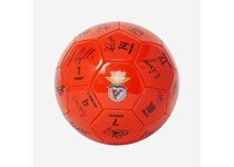 Bola Assinaturas BENFICA SLB Plantel 2024/2025